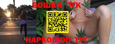 стафф Дубна