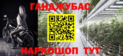 стафф Дубна