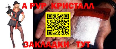 стафф Дубна