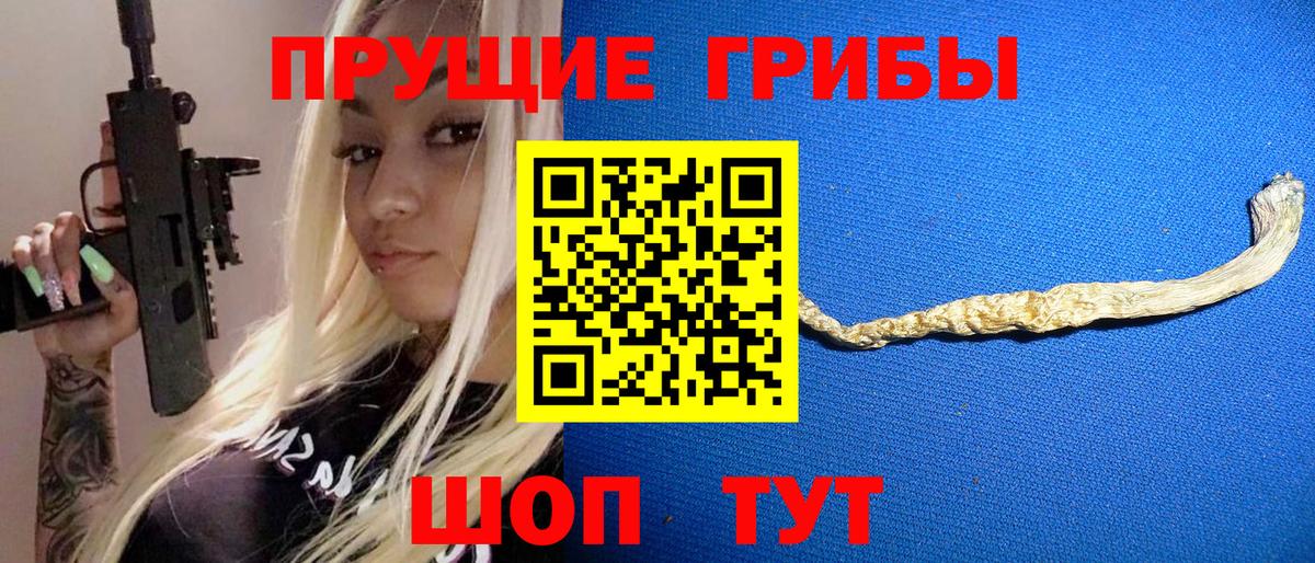 Галлюциногенные грибы Psilocybe Кунгур